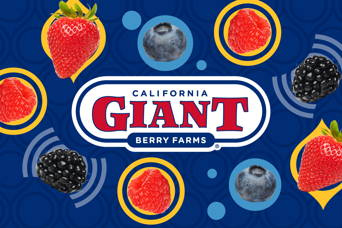 California Giant Berry Farms logo on background of photos of strawberries, blueberries, blackberries, and raspberries