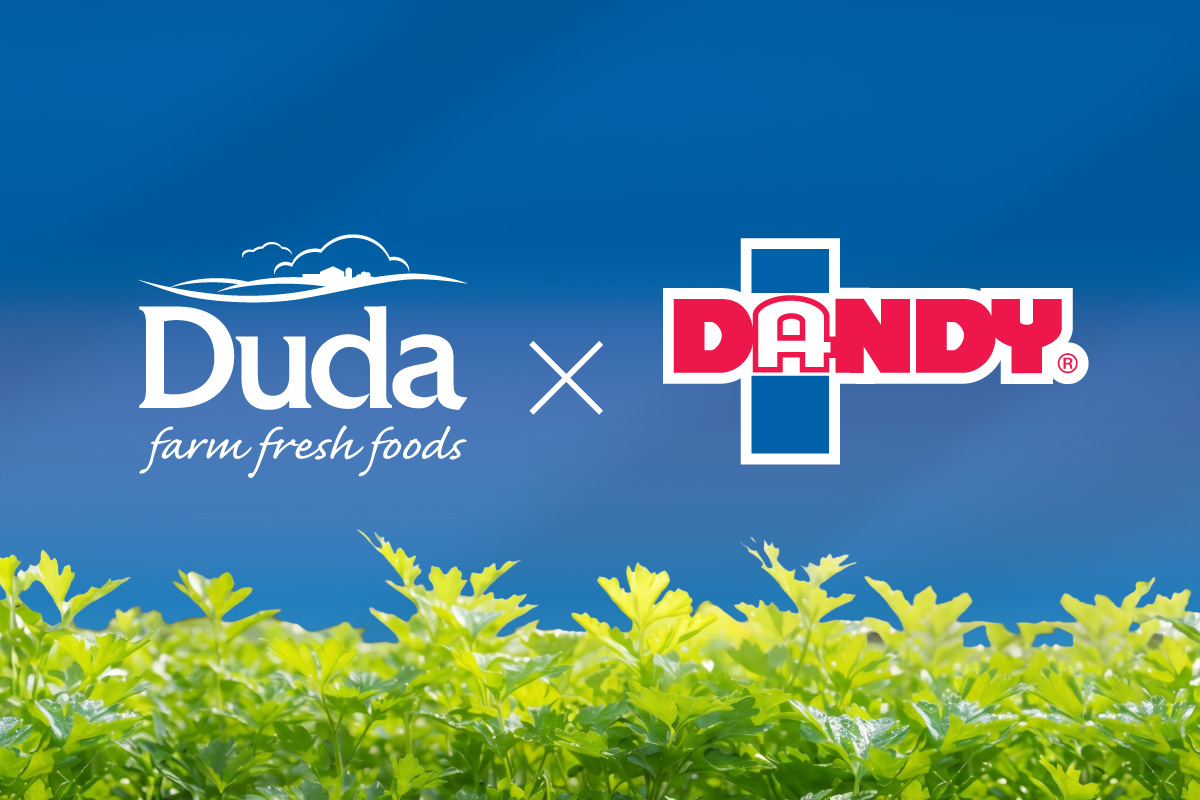 Blue background with celery plants at bottom with Duda and Dandy logos