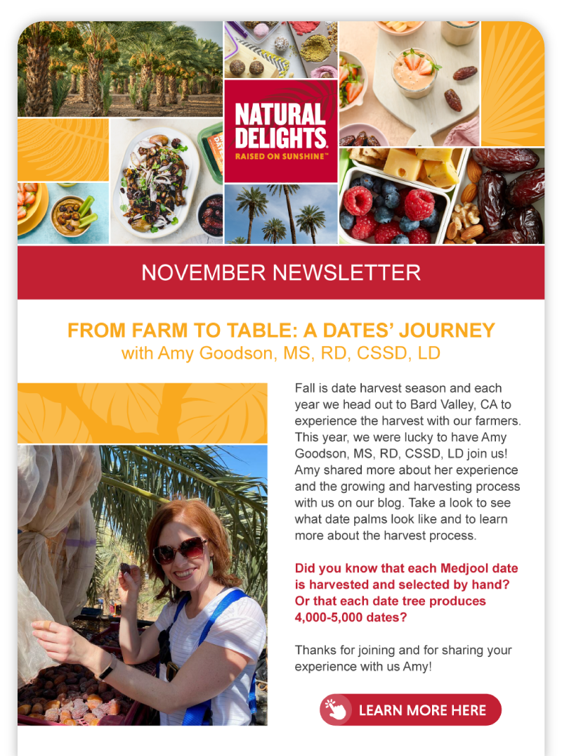 Natural Delights email newsletter preview that says "November Newsletter"