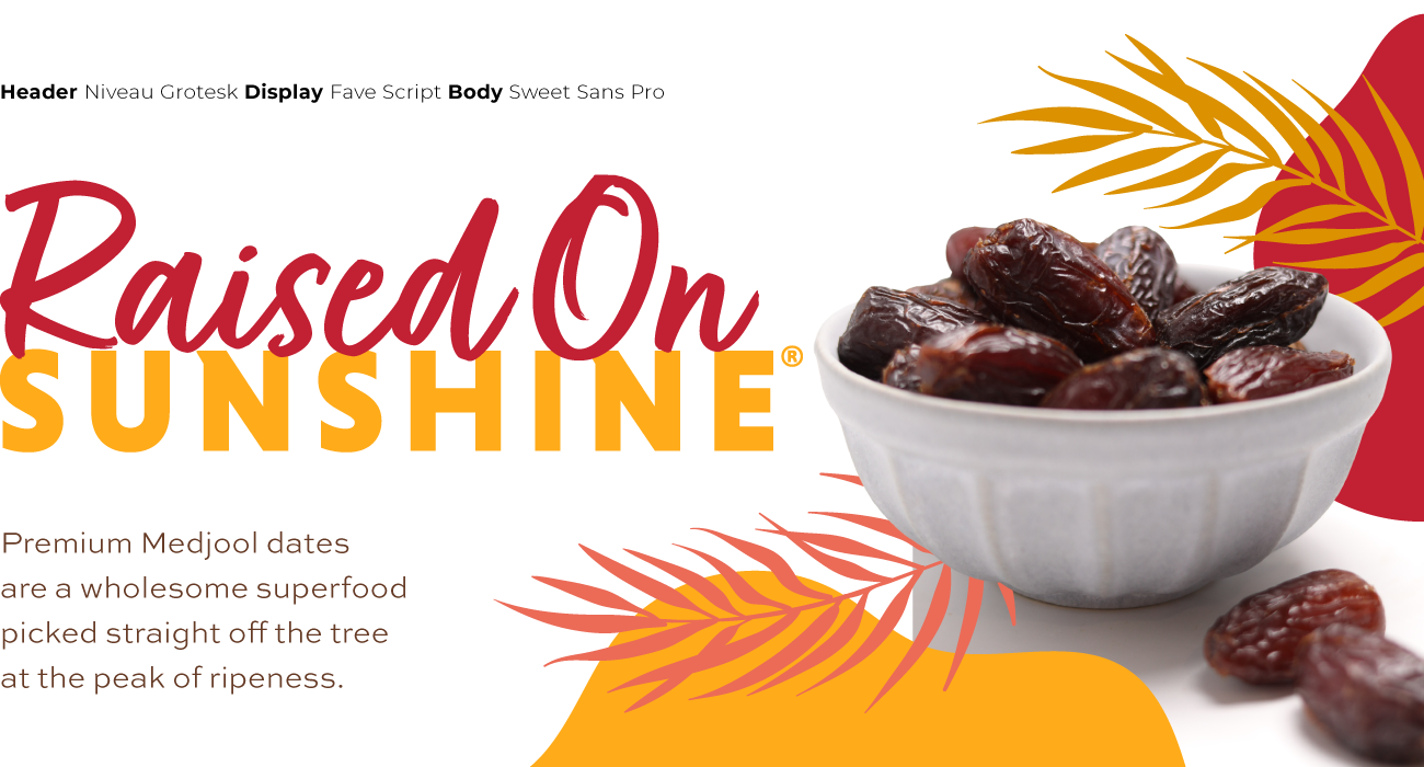 font sampling used for Natural Delight's brand guide with an image of a bowl of date fruits with palm and abstract shape illustrations in the background
