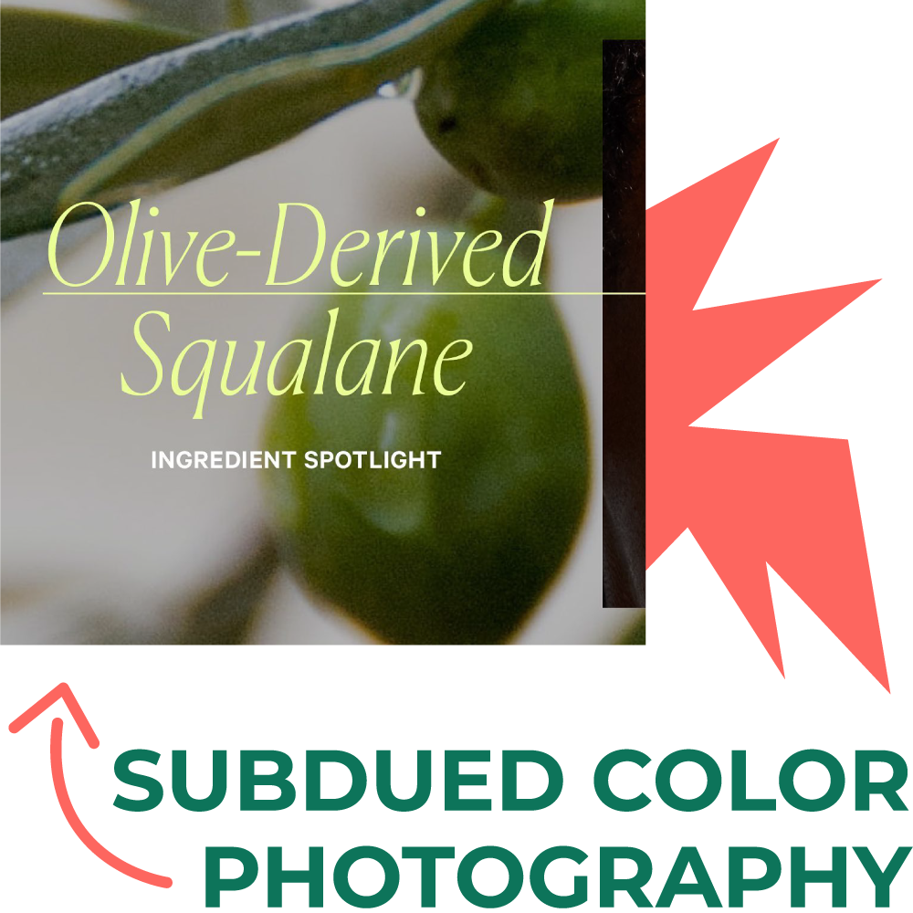 Subdued Color Photography